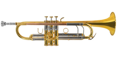 TROMPETA ROY BENSON C/ESTUCHE   TR-403