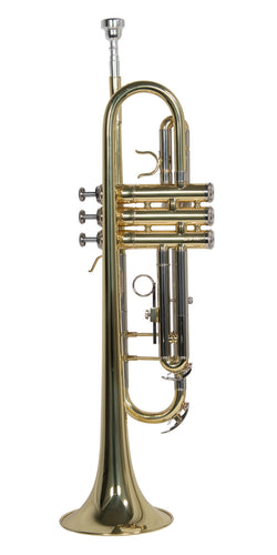 TROMPETA WESNER C/ESTUCHE   PTR1000C-G