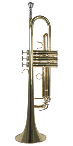 TROMPETA WESNER C/ESTUCHE MOD. STR1000-G