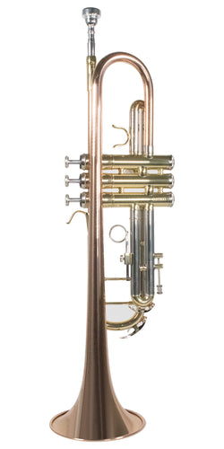 TROMPETA WESNER C/ESTUCHE MOD. STR1100-G